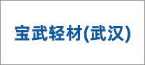 宝武轻材（武汉）有限公司精密带钢厂
